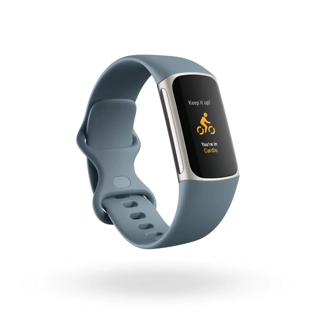 【コストコ】fitbit Charge 5 健康管理トラッカー FB421SRBU-FRCJK スチールブルー／プラチナ ステンレススチール｜常温